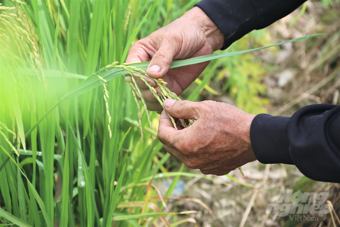 ĐBSCL chuyển mình sang kinh tế xanh, nông nghiệp tuần hoàn-5