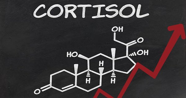 Mức độ Cortisol cao có thể khiến bạn căng thẳng: Hãy khắc phục ngay tại nhà với những thực phẩm lành mạnh này-1