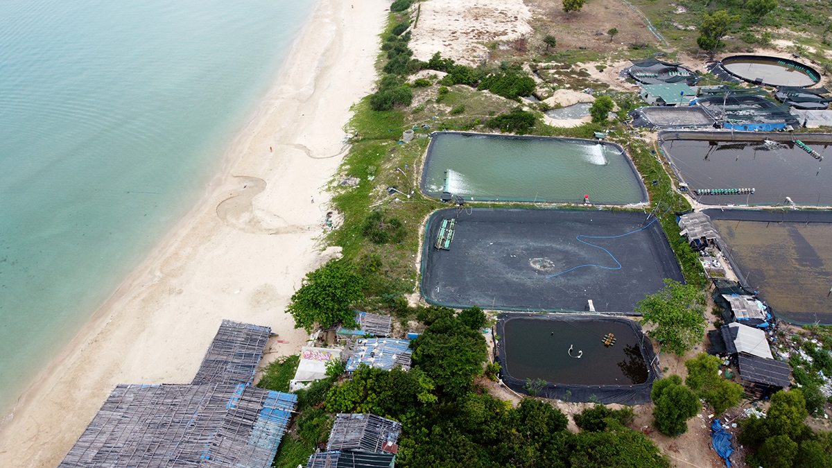 Khánh Hòa: Dân bức xúc vì nước thải trại nuôi tôm đổ ra biển Bãi Dài-5
