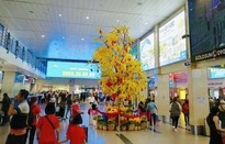 Sân bay Tân Sơn Nhất đón hơn 200.000 lượt khách trong 2 ngày đầu năm Quý Mão-cover-img