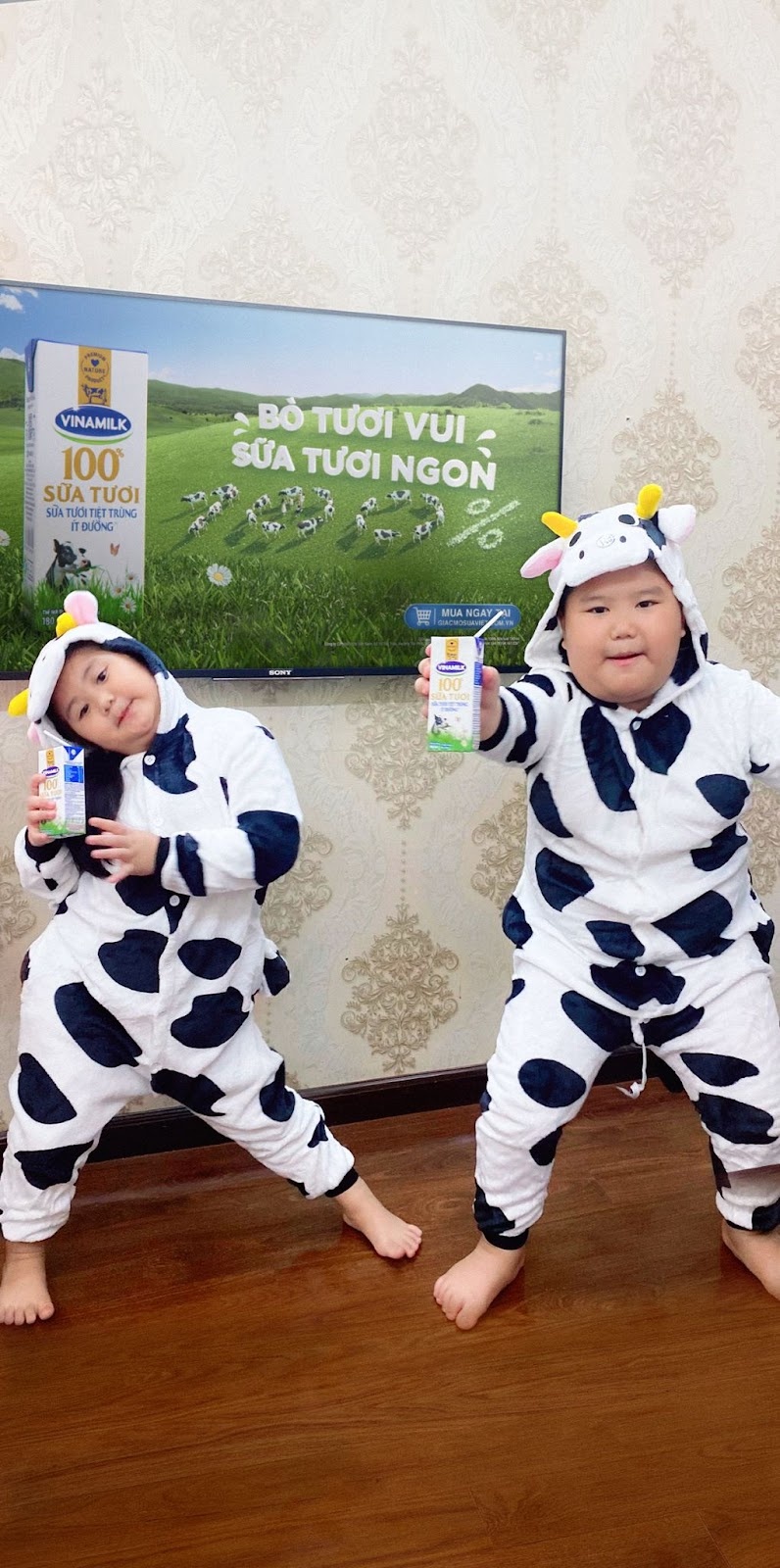 Trẻ em Việt thích thú đòi 'nghỉ hè' cùng bò sữa-5
