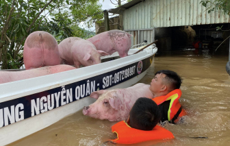 Hàng loạt thủy điện xả lũ, người dân hạ du Nghệ An vội vã chạy lũ-cover-img