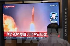 Tổng thống Hàn Quốc cảnh báo Triều Tiên sử dụng vũ khí hạt nhân-cover-img
