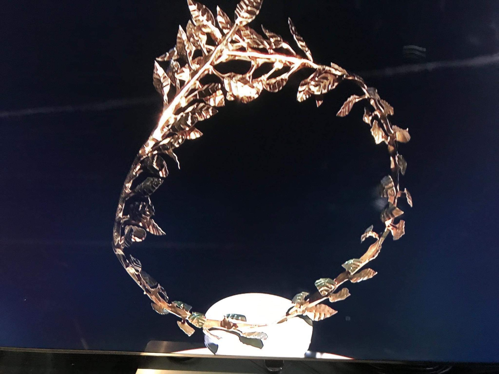 Gặp người chế tác vòng nguyệt quế thếp vàng 24k dành riêng cho Quán quân Olympia 2022-4