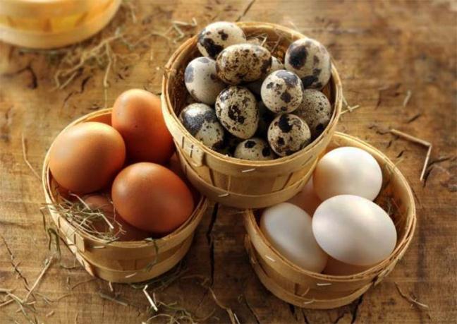 Trứng gà, trứng vịt, trứng ngỗng hay trứng cút, loại trứng nào bổ dưỡng hơn? 2 loại trứng này ăn càng ít càng tốt-2