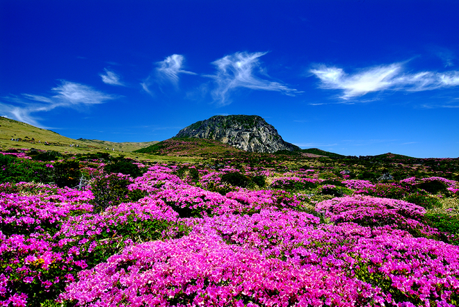 7 lý do vì sao Jeju là địa điểm tuyệt vời nhất để ghé thăm trong mùa thu-7