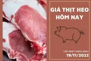 Giá thịt heo hôm nay 19/11: Giảm 2.000 đồng/kg tại Công ty Thực phẩm bán lẻ-cover-img