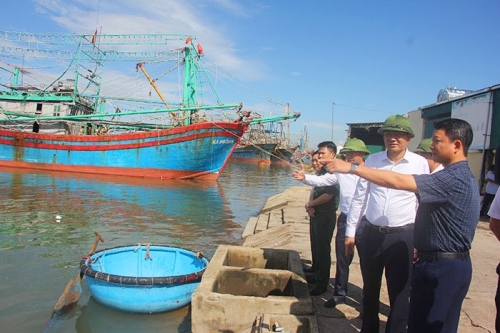 Phó Bí thư Tỉnh ủy, Phó Chủ tịch UBND tỉnh Hoàng Nghĩa Hiếu kiểm tra việc chống khai thác IUU tại một số cảng cá-4