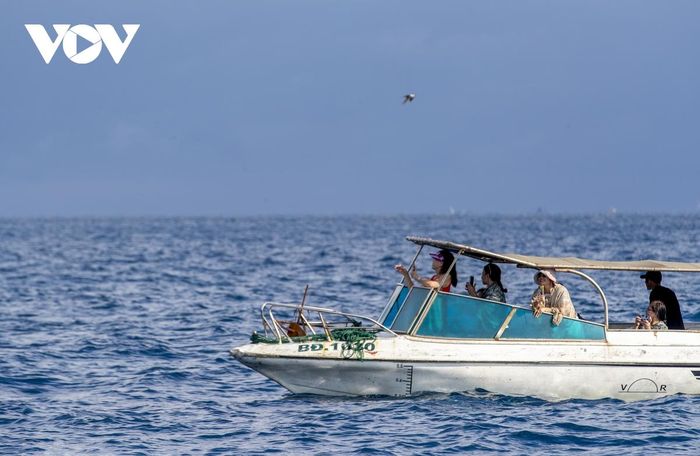 Mãn nhãn cảnh mẹ con cá voi săn mồi ở vùng biển Đề Gi-14