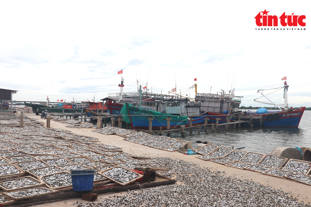 Phát triển nghề khai thác thủy hải sản gắn với chế biến mang lại hiệu quả kinh tế-1