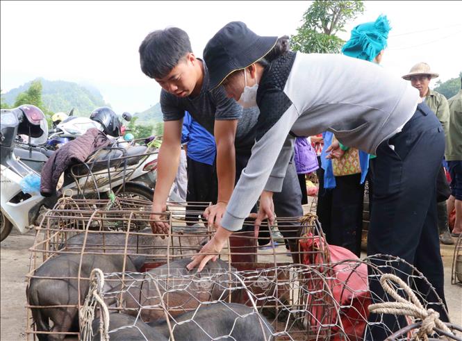 Du lịch Việt Nam: Độc đáo chợ phiên San Thàng, Lai Châu-6