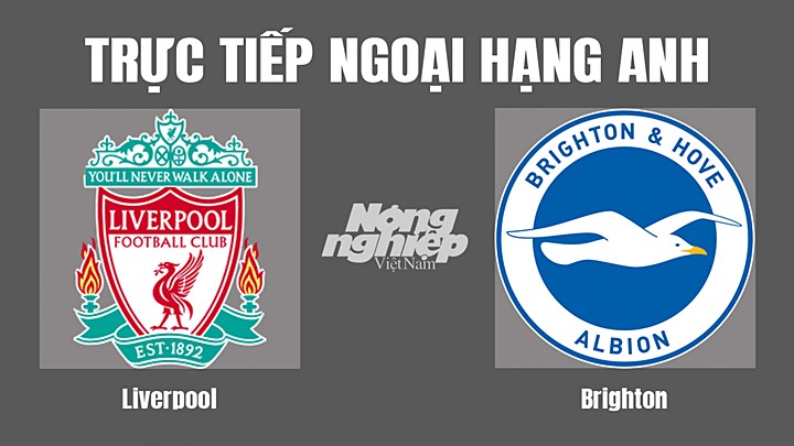 Trực tiếp Liverpool vs Brighton trên K+ Sport 1 hôm nay 1/10-1