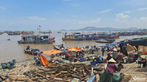Bờ biển ở Thanh Hóa quanh năm ngập rác-9
