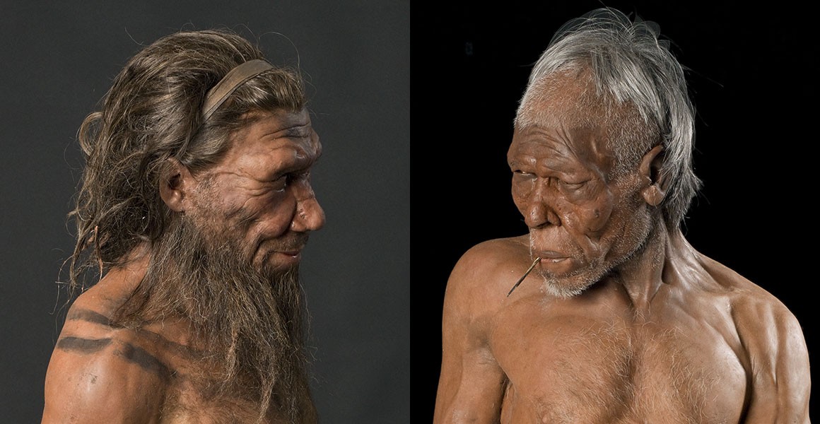 Vì sao người Neanderthal huyền thoại đột ngột biến mất khỏi Trái đất?-2