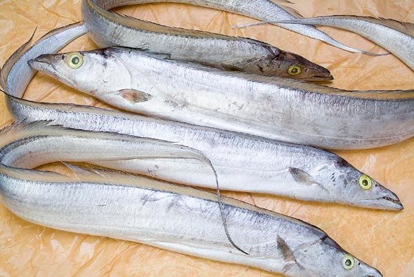 Đi chợ thấy 5 loại cá này hãy mua ngay: Toàn cá tự nhiên, không nuôi công nghiệp, vừa sạch vừa bổ-2
