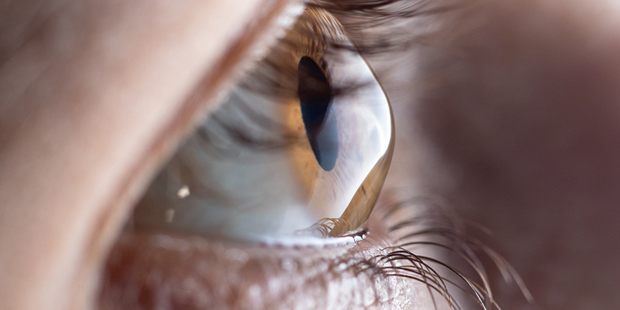 Sử dụng da heo trong chế tạo giác mạc cấy ghép, các nhà khoa học lấy lại được thị lực cho bệnh nhân khiếm thị-1