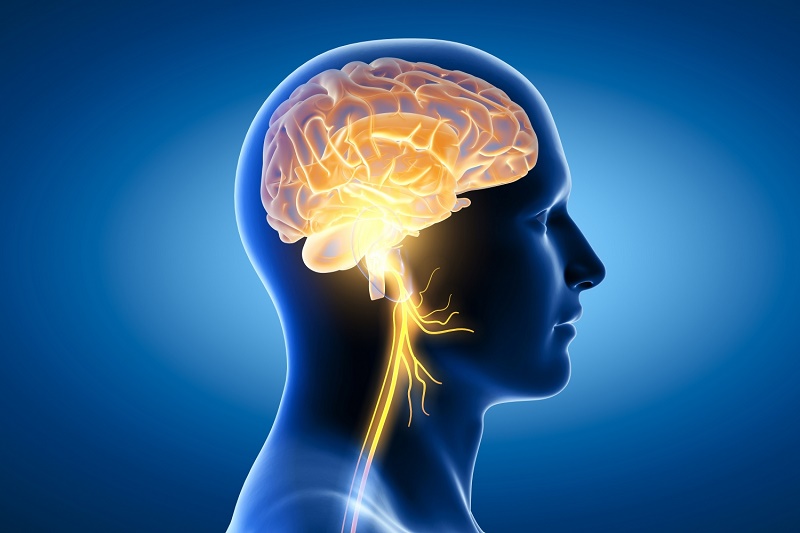 Bổ sung ngay những loại thực phẩm là 'tiên dược' cho não bộ, vừa giúp tăng cường trí nhớ lại hỗ trợ tập trung cao độ-1