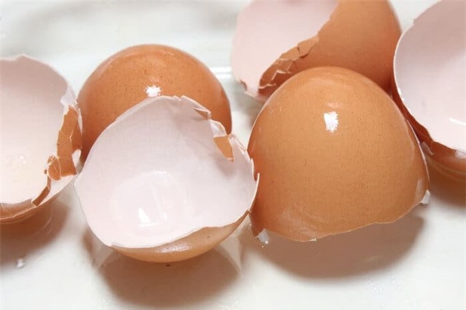 Thấy con dâu tích trữ vỏ trứng trong nhà, mẹ chồng tưởng "điên" hóa ra là có bí mật-1