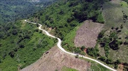 Lâm Đồng: Đề nghị chuyển đổi 7,6 ha rừng để thi công tiếp đường Trường Sơn Đông-cover-img