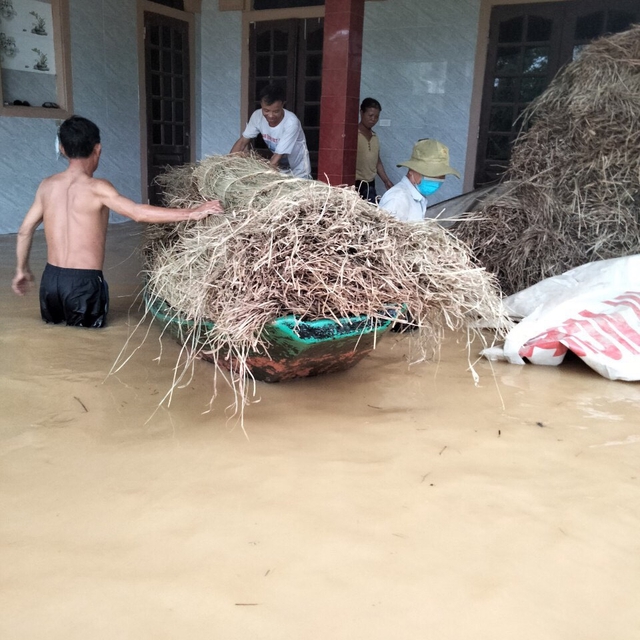 Gần 1.700 hộ dân ở Hà Tĩnh vẫn bị ngập sâu trong nước-2
