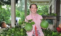 Nông sản Việt rộng đường xuất ngoại-cover-img