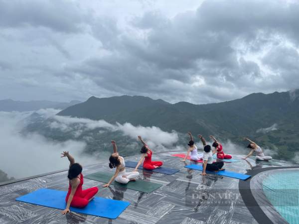 Gần 500 người sẽ tham gia đồng diễn Yoga trên đỉnh Fansipan-3