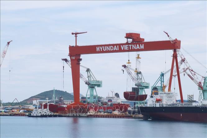Công ty đóng tàu Hyundai Việt Nam đưa vào vận hành cẩu trục 700 tấn-1