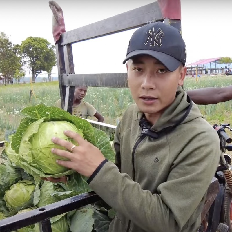 Cận cảnh nông trại xanh mướt rau củ của Quang Linh Vlog-9