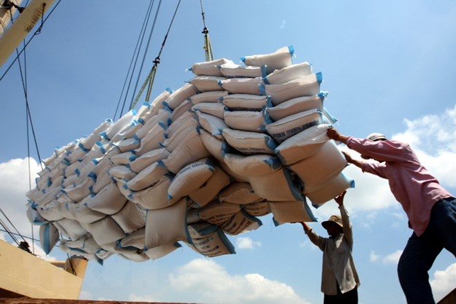 Xuất khẩu gạo có thể đạt 7 triệu tấn trong năm nay-1