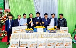 Ninh Bình: Giới thiệu đặc sản cam vàng Hà Giang tại cửa hàng nông sản an toàn-img