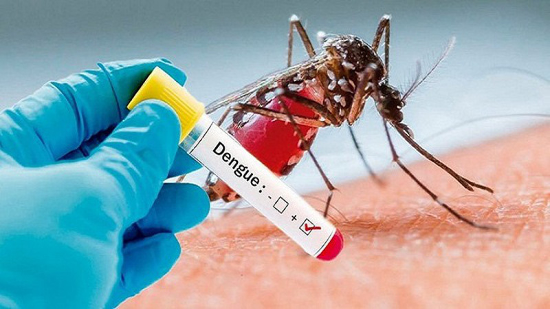 Cứu sống bệnh nhân 31 tuổi sốc sốt xuất huyết Dengue biến chứng viêm cơ tim-1