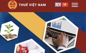 Công bố danh sách 39 nhà cung cấp nước ngoài đăng ký thuế tại Việt Nam-4