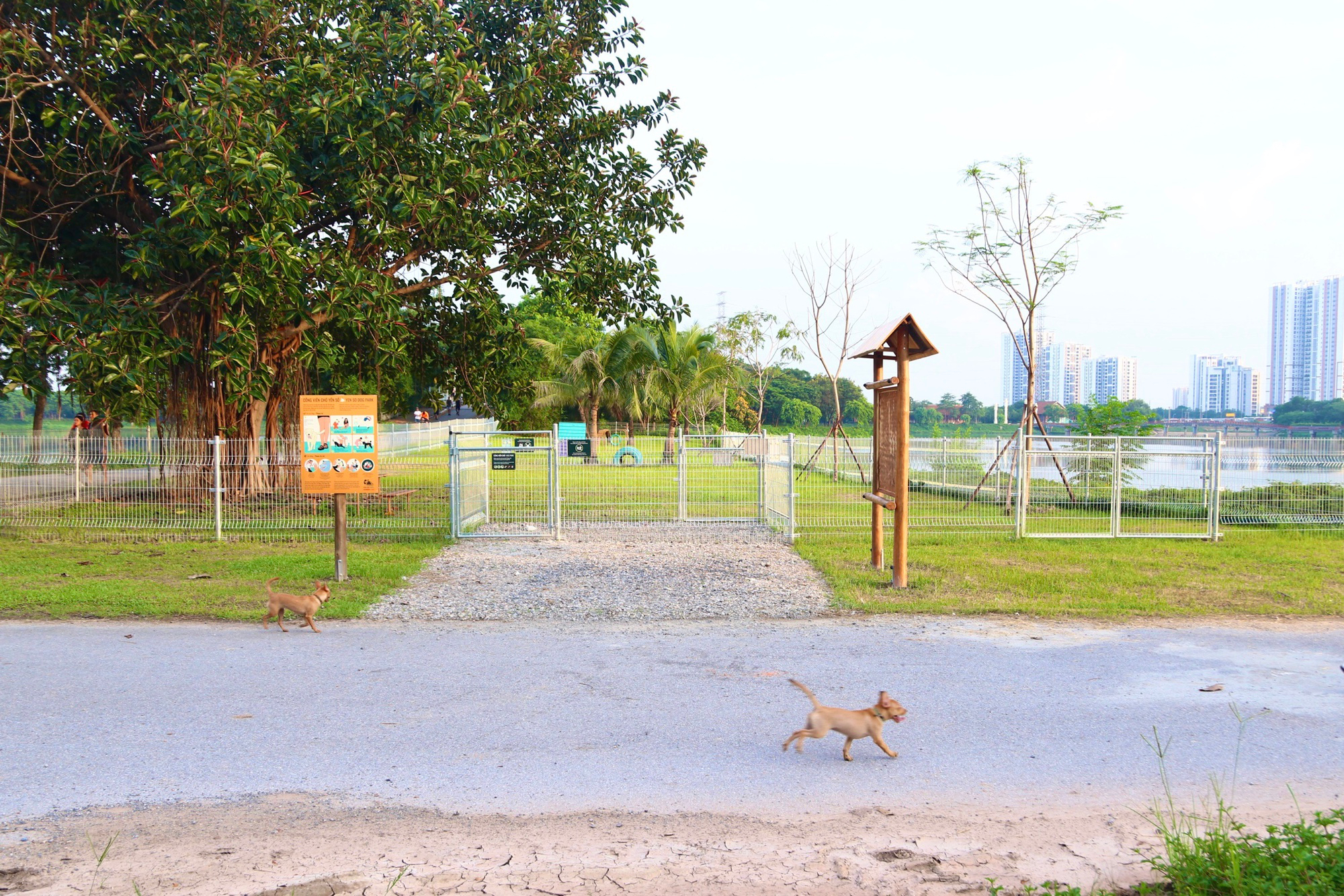 Ghé thăm công viên cho chó đầu tiên tại Hà Nội: Nhiều đồ chơi và khu vực ăn dành riêng cho thú cưng-1