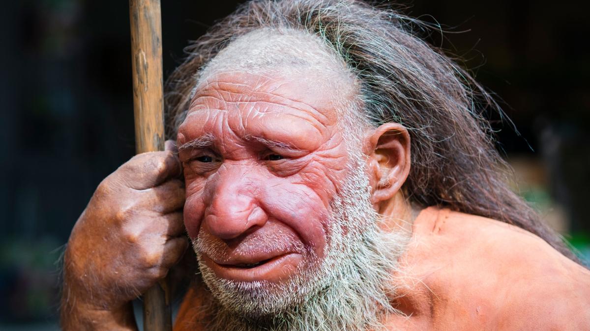 Vì sao người Neanderthal huyền thoại đột ngột biến mất khỏi Trái đất?-5