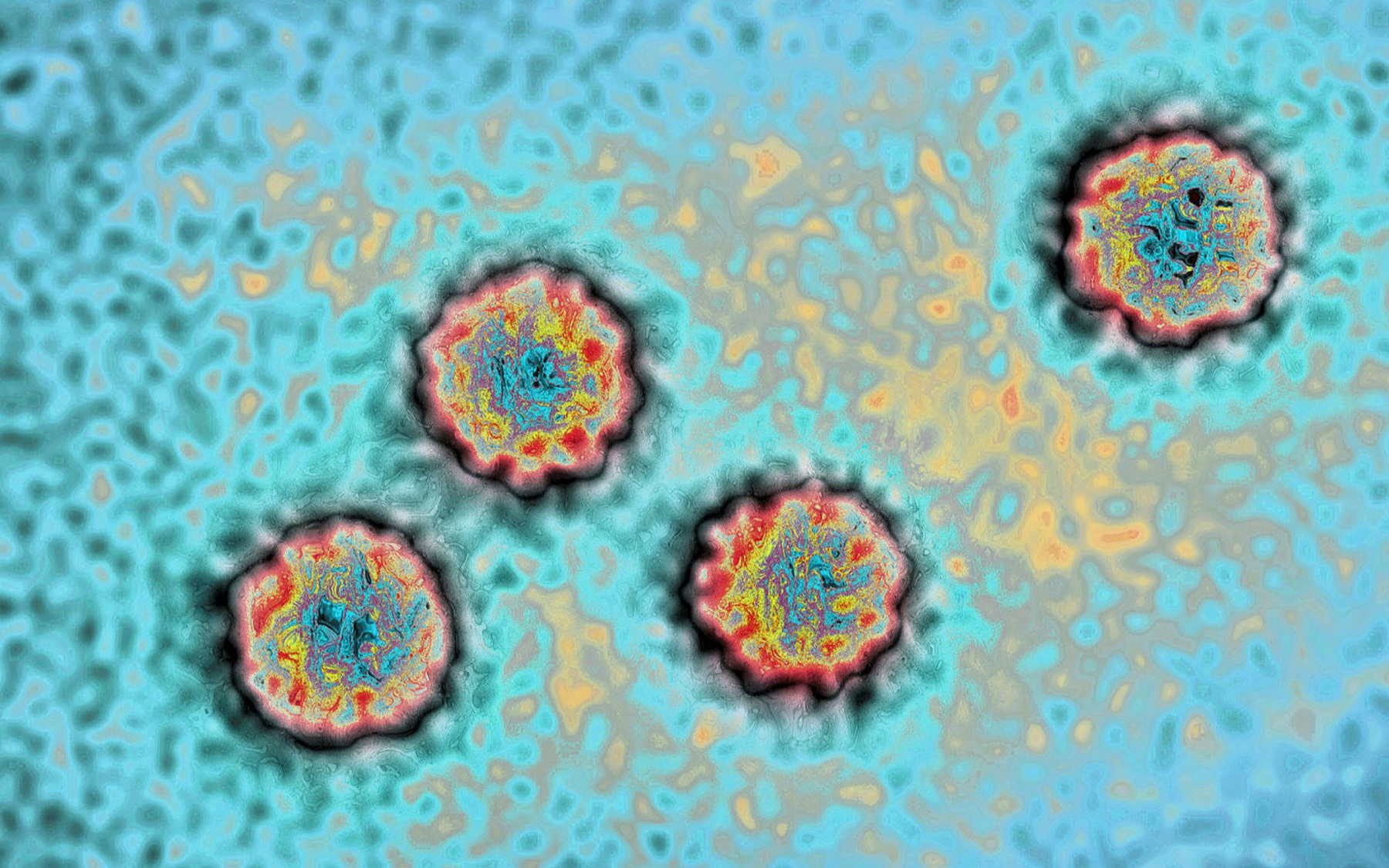Adenovirus có thể gây ra những bệnh gì, mắc rồi có mắc lại không?-2