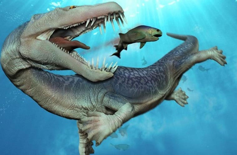 Bộ ba “quái vật đại dương” gây kinh hoàng thời tiền sử-7