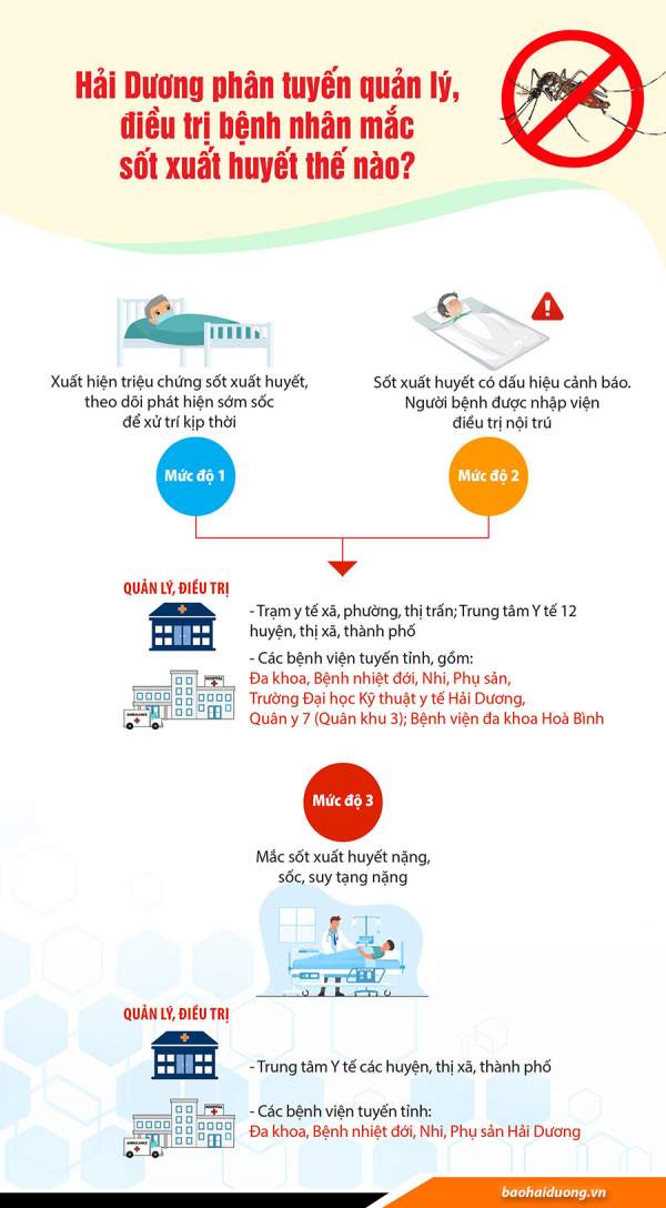 Hải Dương phân tuyến quản lý, điều trị bệnh nhân mắc sốt xuất huyết như thế nào?-2