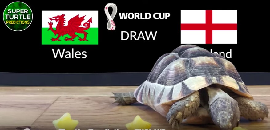 Dự đoán vui trận xứ Wales vs Anh, bảng B World Cup 2022-2
