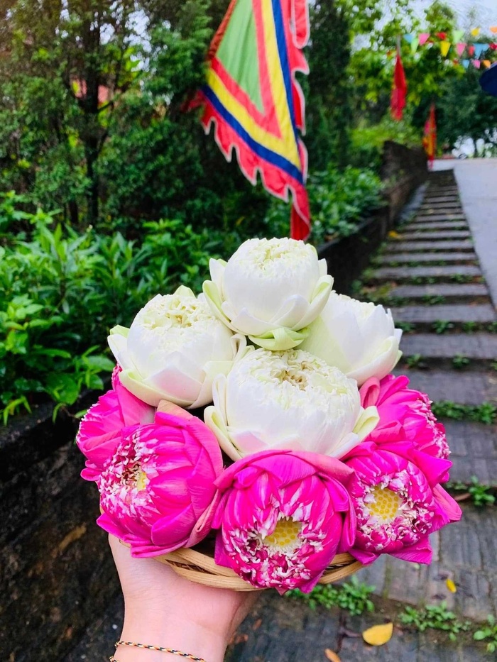 Mãn nhãn với mâm hoa, quả lễ 'mùa nào thức ấy' dâng chùa của cô giảng viên ngành Y-7