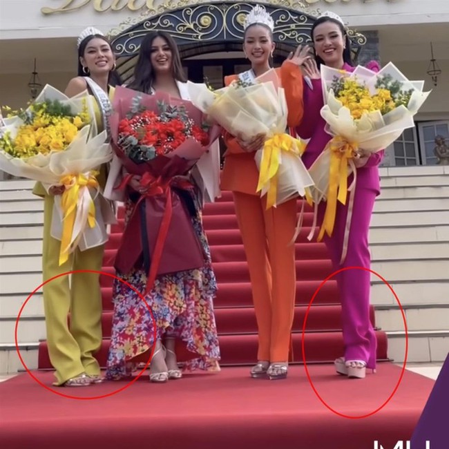 Lý do khiến netizen nổi đóa đòi "giải cứu" Top 3 Hoa hậu Hoàn vũ Việt Nam 2022-2
