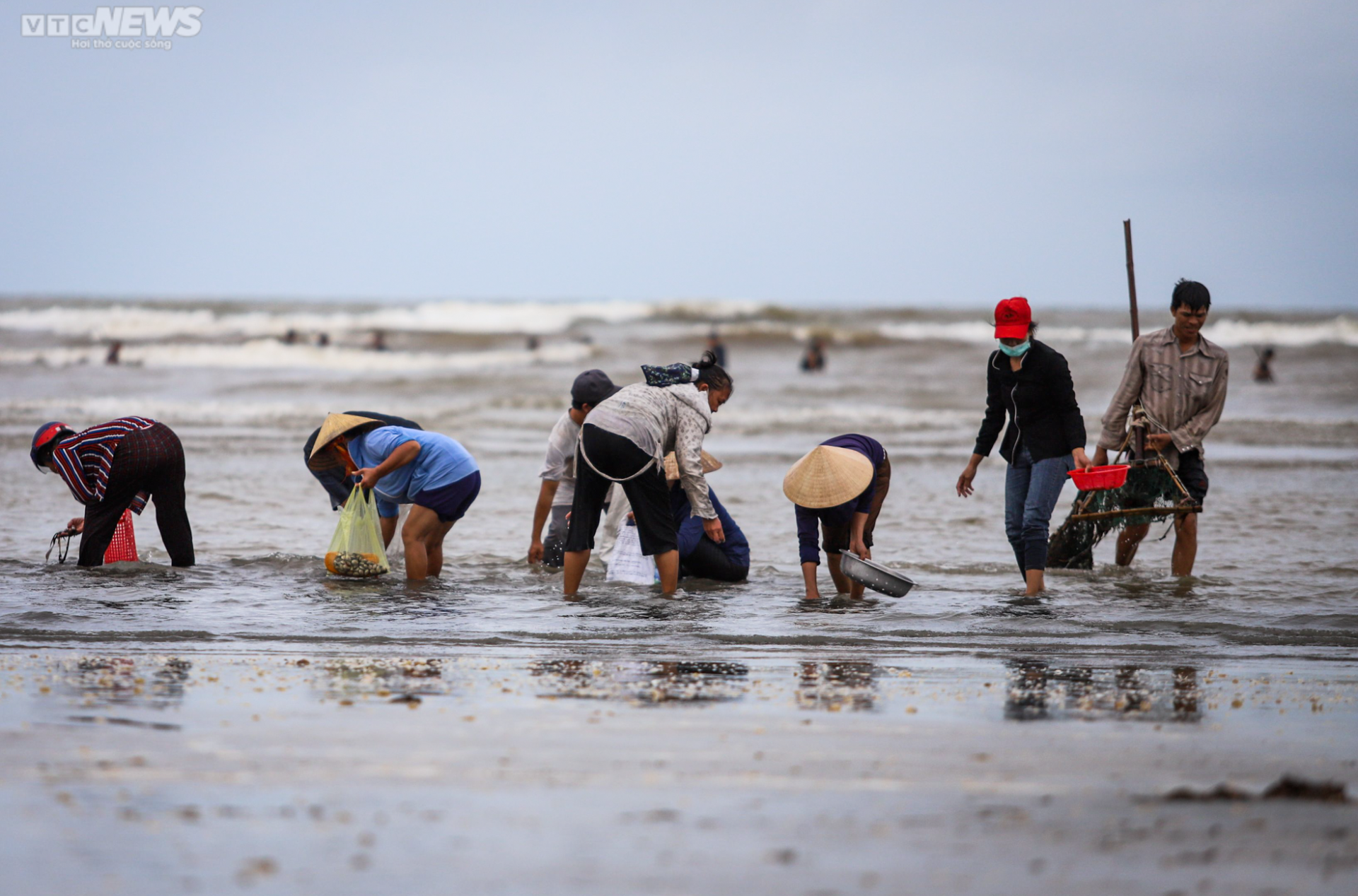 Ảnh: Người Hà Tĩnh đổ xô ra biển vớt sò lông sau mưa bão-7