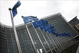 EU bổ sung 3 quốc gia vào danh sách 'thiên đường thuế'-img