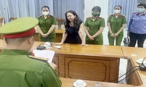 Tiếp tục tạm giam bà Nguyễn Phương Hằng 2 tháng để điều tra bổ sung-cover-img