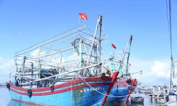 Tàu cá ở Nghệ An nằm bờ vì không đủ bạn thuyền-cover-img
