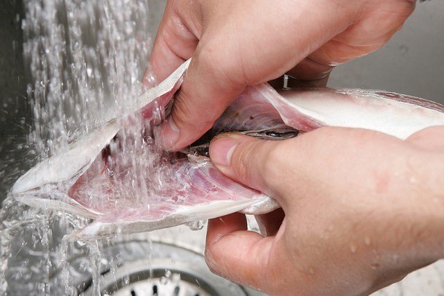 Hấp cá đừng dùng nước lã: Muốn ngọt thịt, không tanh nhớ làm 3 bước này-1