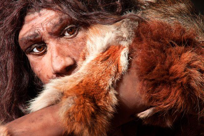 Vì sao người Neanderthal huyền thoại đột ngột biến mất khỏi Trái đất?-7