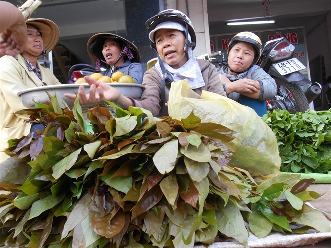 Loại rau mọc hoang thành đặc sản Bình Phước, người thành phố thi nhau mua, giá 120.000 đồng/kg-1