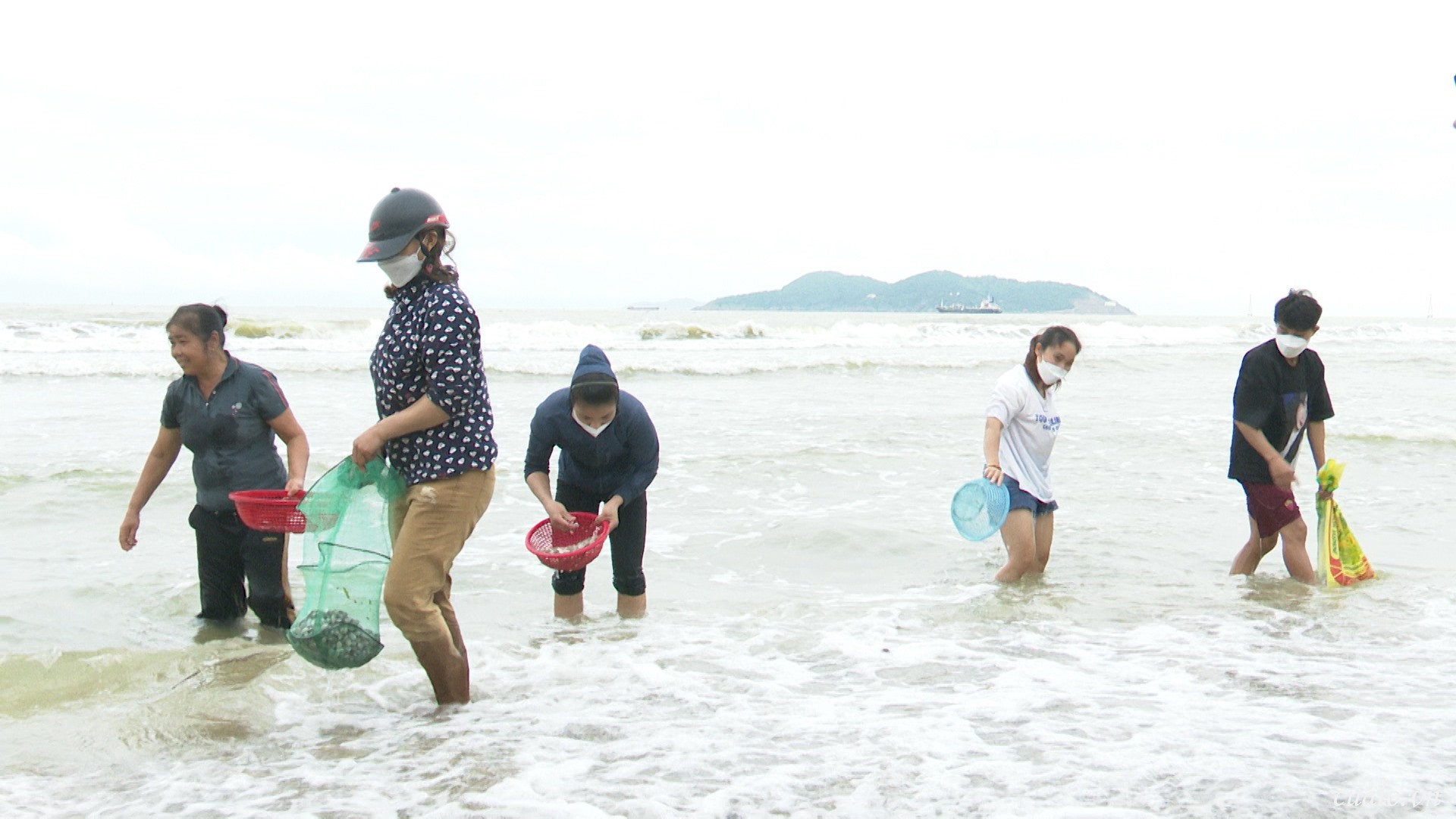 Sau bão Noru, người dân Cửa Lò hối hả nhặt sò biển dạt vào bờ-2