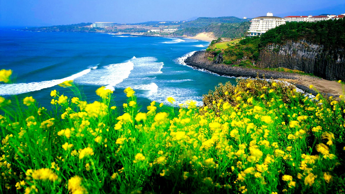7 lý do vì sao Jeju là địa điểm tuyệt vời nhất để ghé thăm trong mùa thu-2