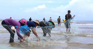 Hộ nghèo ở Phú Thọ liên kết nuôi cá lót bạt - mũi tên nhắm 2 đích-6